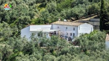 Fuente del Conde, spacious detached country property which is in need of reforming, situated in a sought after location near the village