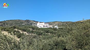 Algarinejo, Beautiful spacious 4 bedroom, 2 bathroom detached country property with amazing views and swimming pool, garage and large outdoor area.